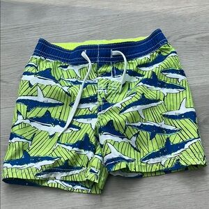 Old Navy Dynamic Blue and Green Swim Trunks